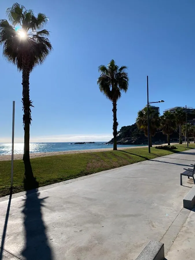 Apartamento En Torre Valentina, La Mejor Playa A Dos Minutos En San Antonio De Calonge 0*,  Spanyolország